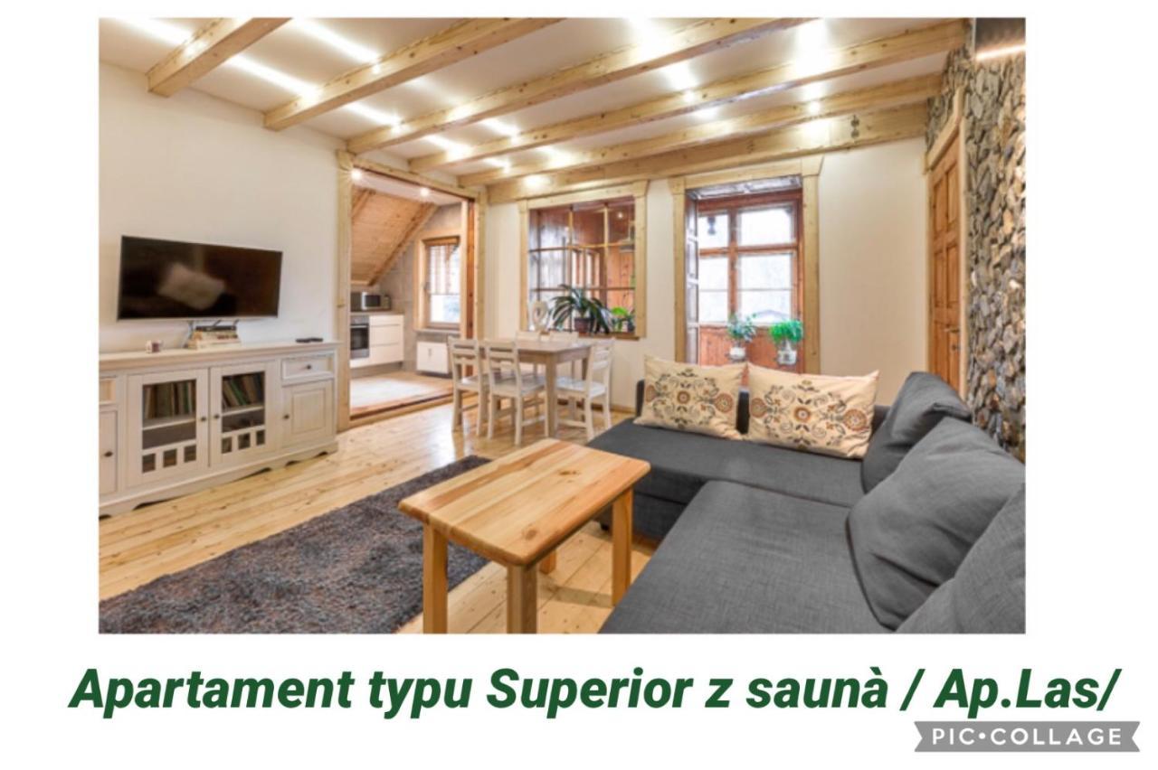 Apartamenty Pod Skocznia 卡尔帕奇 外观 照片
