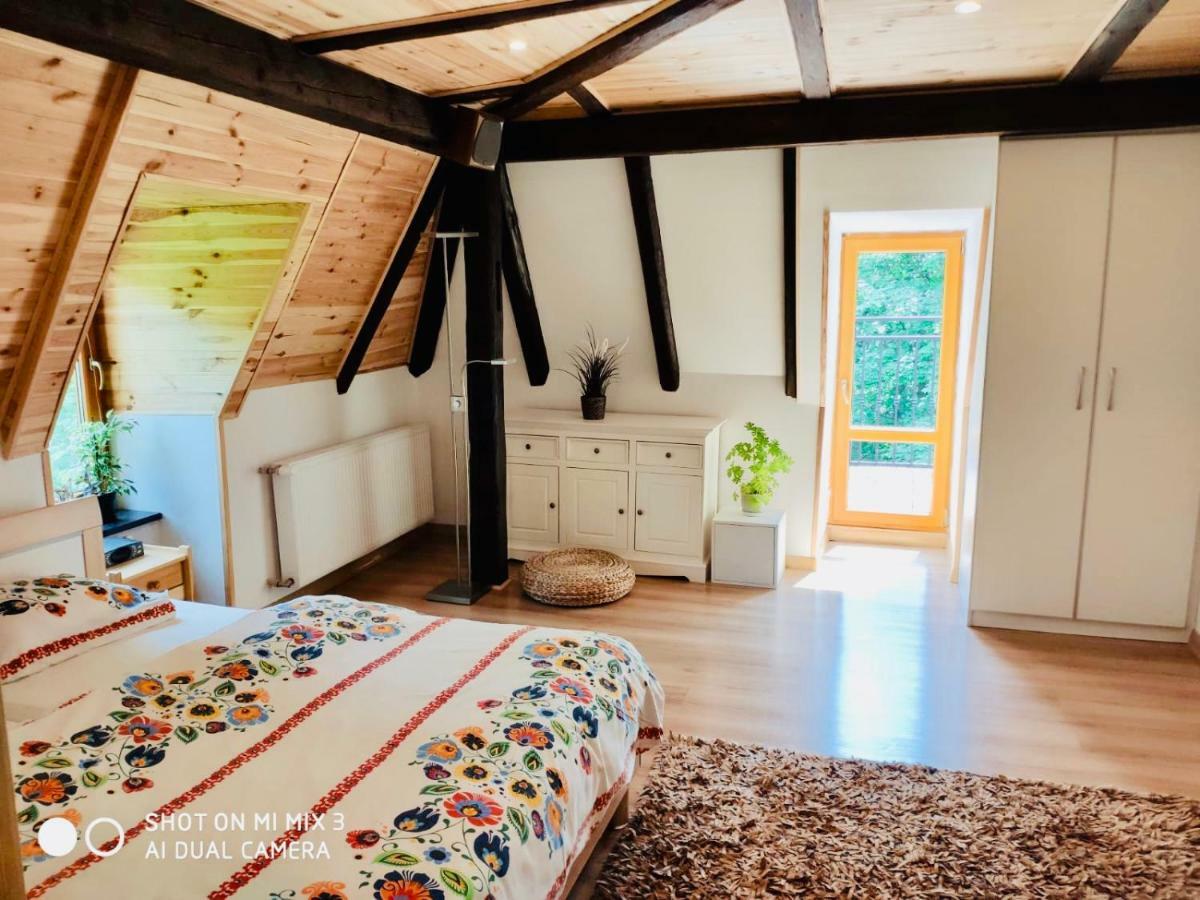 Apartamenty Pod Skocznia 卡尔帕奇 外观 照片